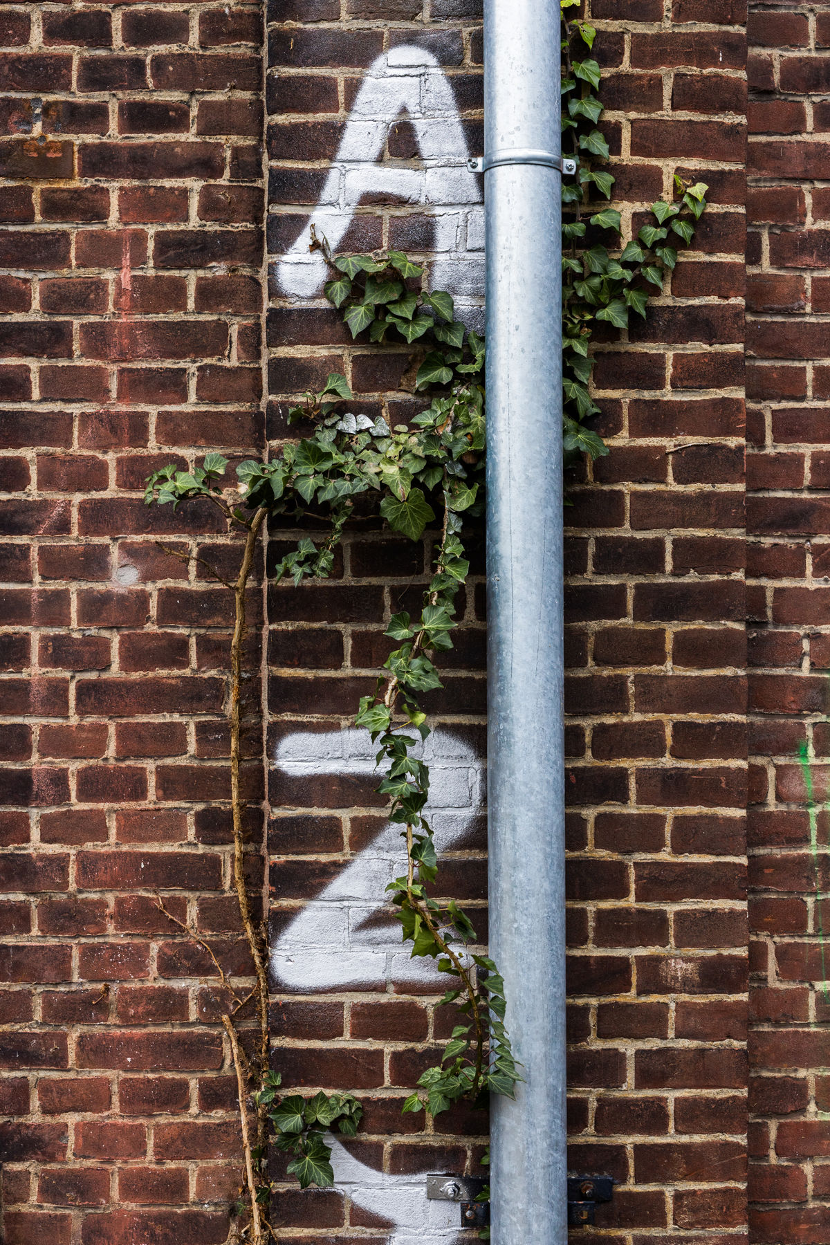 Loading... just a sec